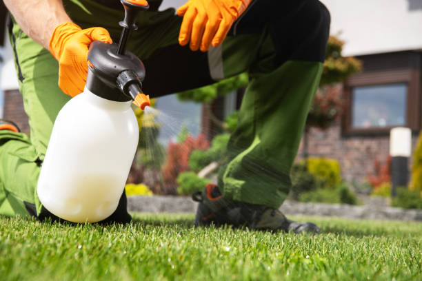 Best Commercial Pest Control Services  in Welby, CO