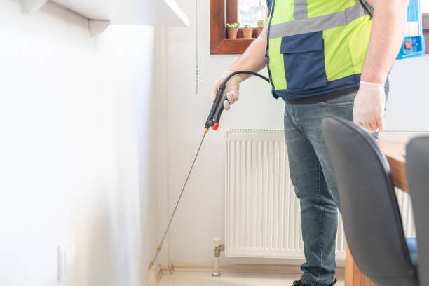 Trusted Welby, CO Pest Control Experts