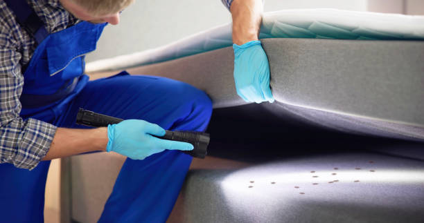Best Best Pest Control Companies  in Welby, CO
