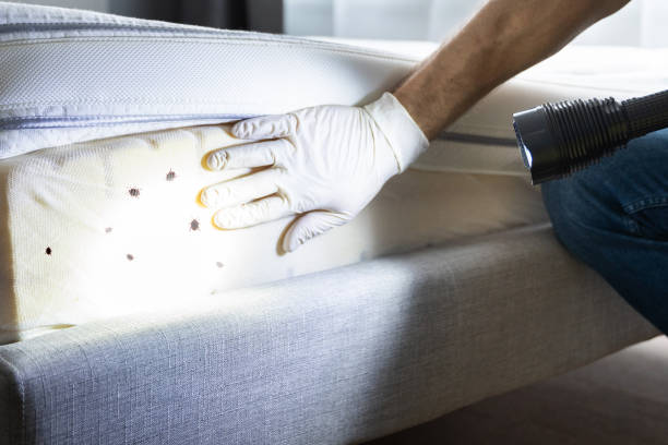Best Commercial Pest Control Services  in Welby, CO