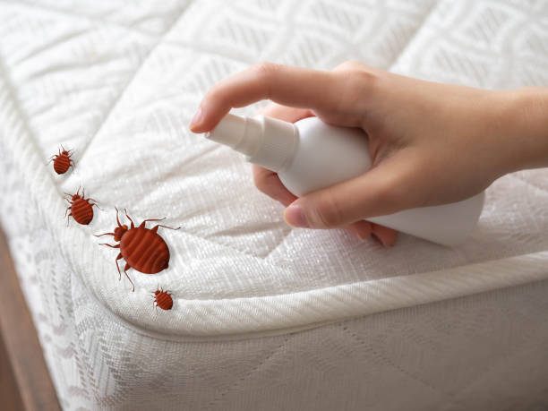 Best Pest Removal Services  in Welby, CO